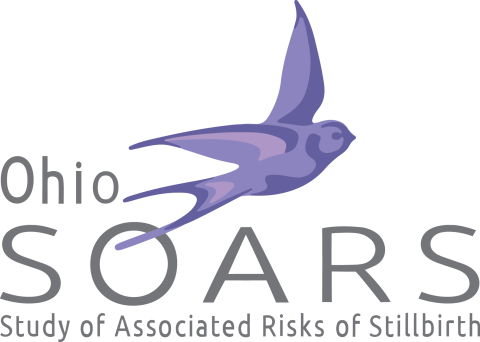 Ohio SOARS (Study of Associated Risks of Stillbirth) logo in Purple tones of a soaring swallow 
